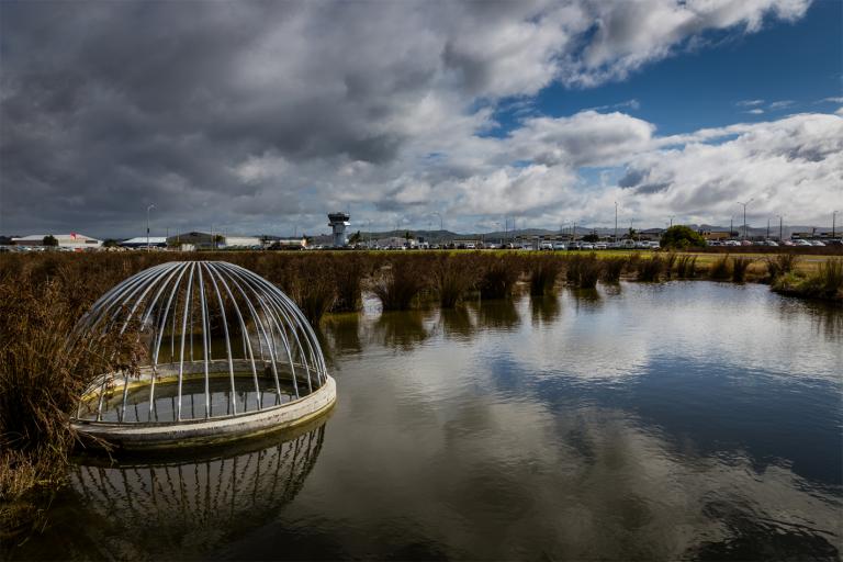 Media Relase zero carbon for website